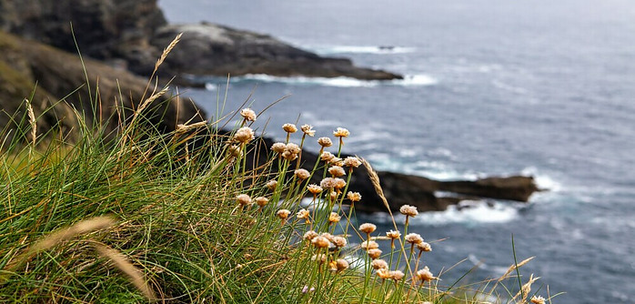 Mizen Peninsula See